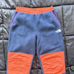 The North Face Fleece Sherpa Pants